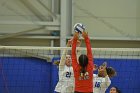 Wheaton Women's Volleyball  Wheaton Women's Volleyball vs Bridgewater State University. : Wheaton, Volleyball, BSU, Bridgewater State College